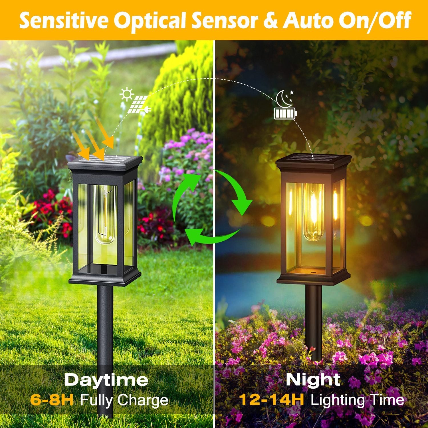 🌞 6-Pack Solar Powered Stake Lights – Waterproof Outdoor Decorative Garden Lamps (IP65, Auto On/Off)