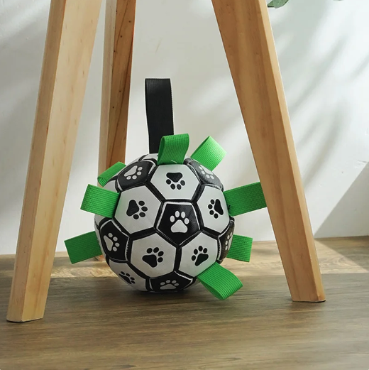 Interactive Soccer Brain Game for Dogs - MetaFocus